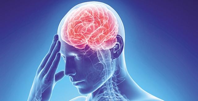 Άσχημα… μαντάτα: Δείτε σε ποια ηλικία «γερνάει» ο εγκέφαλος  - Media