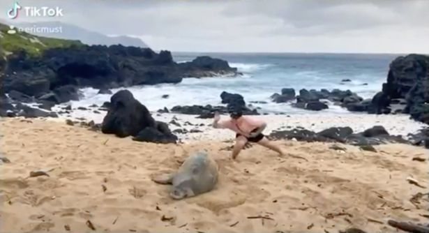 Άνδρας πάει σε προστατευόμενη παραλία και σκαμπιλίζει μια φώκια - Στη συνέχεια ανέβασε το «κατόρθωμα» του στο ιντερνετ (Video) - Media