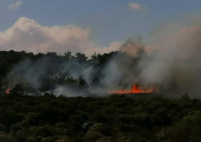 Λέσβος: Νέες συγκρούσες κατοίκων με ΜΑΤ και φωτιά στο δάσος!  - Media