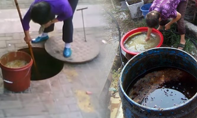 Κίνα: Παράγουν μαγειρικό λάδι από απόβλητα υπονόμων – Σοκάρουν οι εικόνες από ανθυγιεινές πρακτικές (Video|Photo) - Media