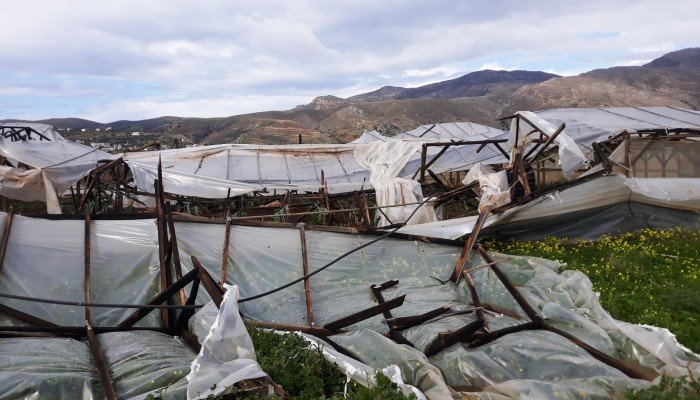 Ανεμοστρόβιλος "σάρωσε" την παραγωγή αγρότη στην Κίσσαμο! (Photo) - Media