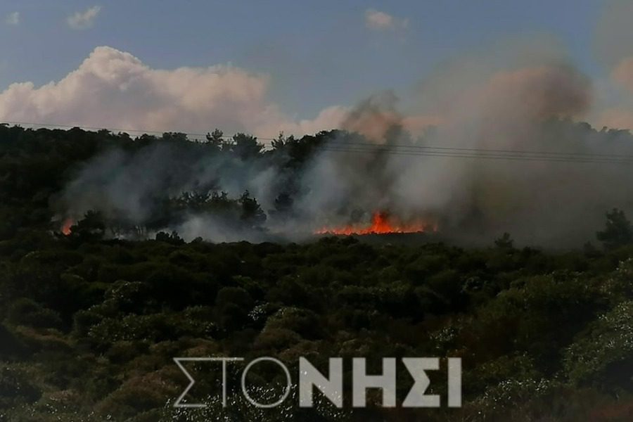 Λέσβος: Φωτιά στο δάσος του Καράβα από τις συνεχείς ρίψεις χειροβομβίδων κρότου-λάμψης των ΜΑΤ (Photos) - Media