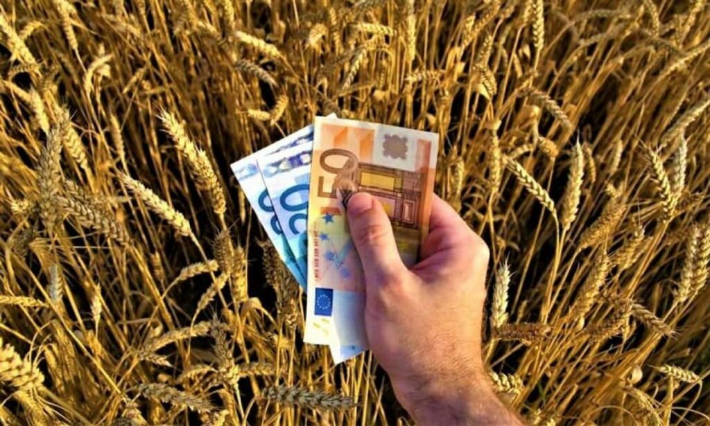 ΟΠΕΚΕΠΕ: Πληρωμή 4,3 εκατ. ευρώ σε δικαιούχους αγρότες - Media