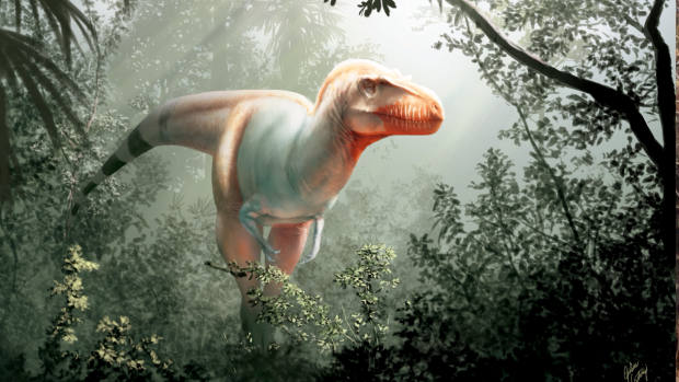 Αυτός είναι ο «θεριστής του θανάτου» - Ο τρομακτικός πρόγονος του τυραννόσαυρου (Photo) - Media