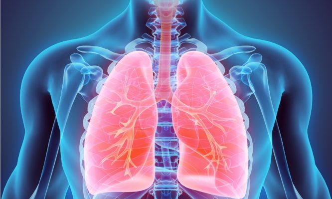 Κορωνοϊός: Έτσι προσβάλλει τους πνεύμονες ασθενούς (video) - Media