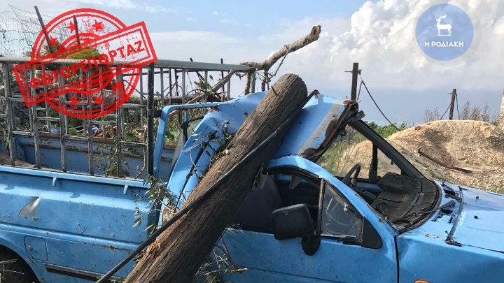Ανεμοστρόβιλος «σάρωσε» το Καστελλόριζο: Έσπασε κολώνες της ΔΕΗ και ξερίζωσε δέντρα (Photos) - Media