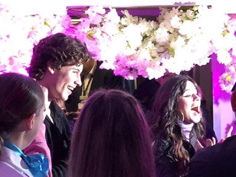 Τα γενέθλιά της γιόρτασε η Camila Cabello - Ο σύντροφός της πέταξε 3.300 μίλια από το σπίτι του για να είναι μαζί της (Photos | Video) - Media