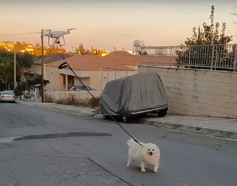 Κορωνοϊός Κύπρος: Βγάζει το σκύλο του βόλτα με drone για να παραμένει εκείνος στο σπίτι και να μην κολλήσει (Video) - Media