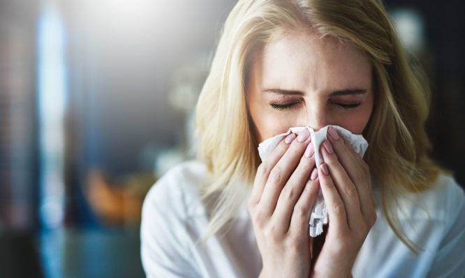 Άνοιξη: Έχετε γρίπη ή αλλεργία; Συμπτώματα και απαντήσεις - Media