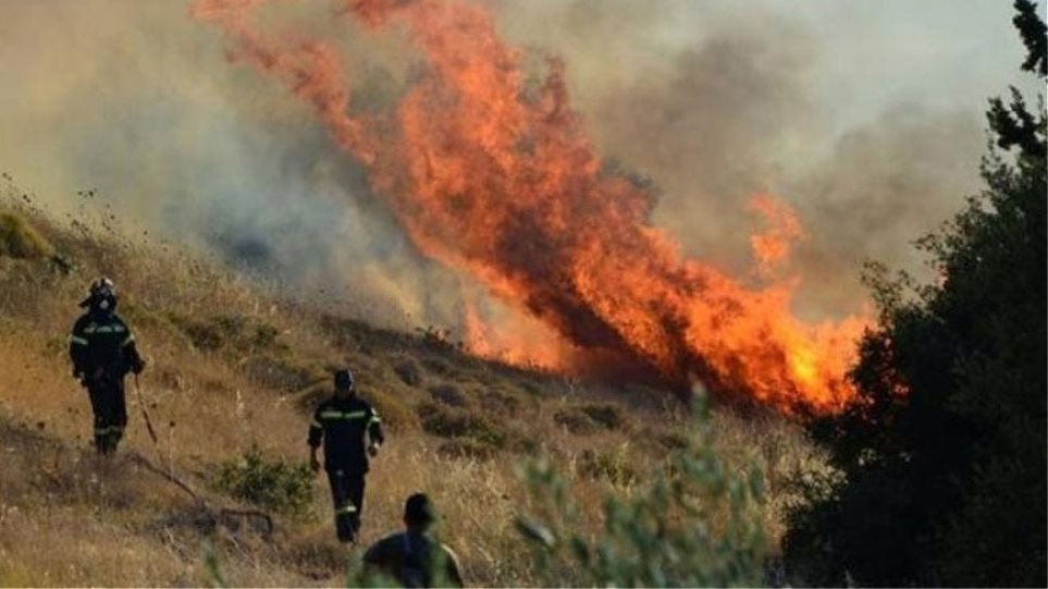 Ηλεία: Πάνω από 10 πυρκαγιές στο νομό - Παραλίγο να καούν δάση επειδή ιδιώτες έκαιγαν κλαριά - Media