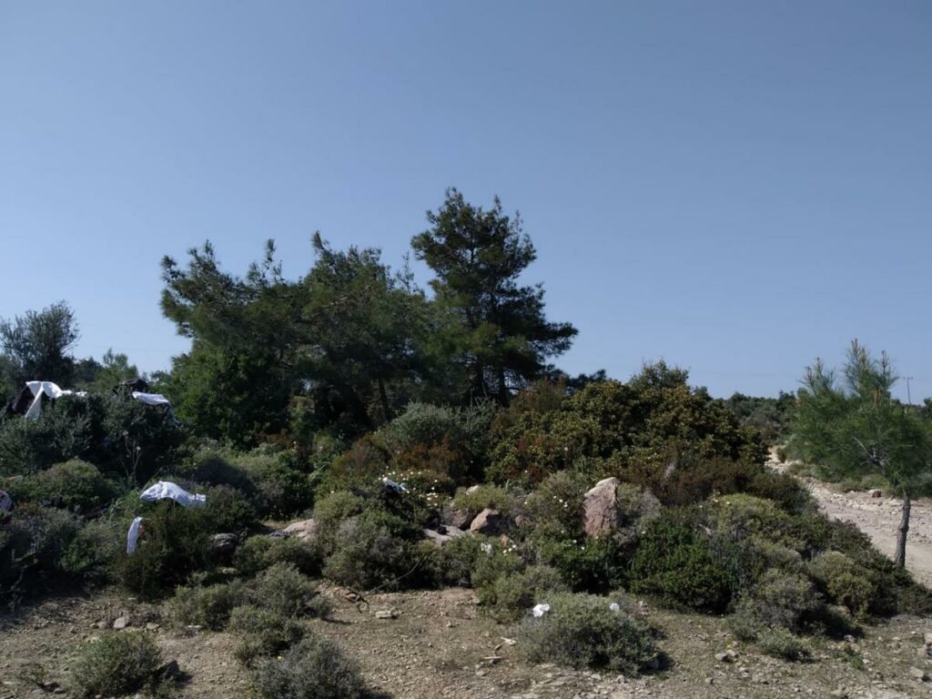 Πλήθος κόσμου ξανά στον Φλοίσβο – Αυστηροί έλεγχοι από την ΕΛΑΣ (Photos) - Media