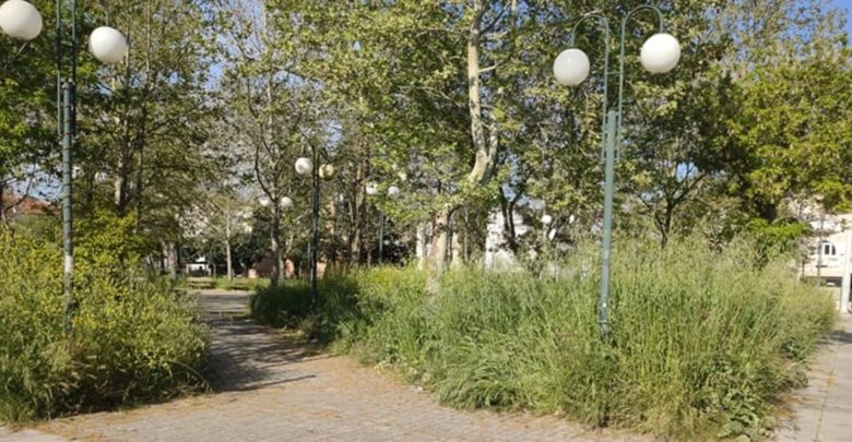 Λάρισα: Τα χόρτα… οργιάζουν και οι κάτοικοι διαμαρτύρονται για κίνδυνο λόγω φιδιών (Photos) - Media