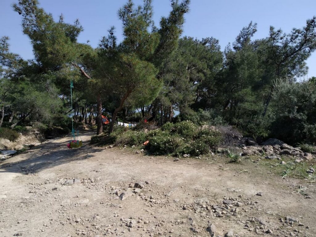 Κρήτη: Από τώρα κλείνονται ραντεβού στα κομμωτήρια - Θεριεύουν τα «πειρατικά» ψαλίδια! - Media