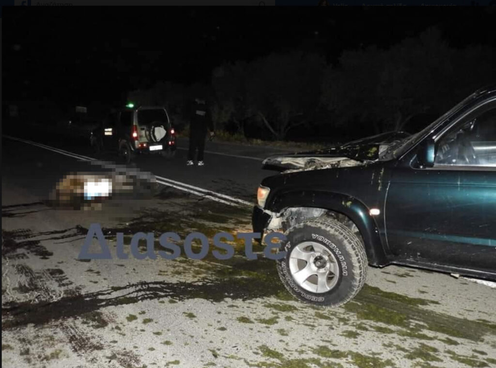 Κρήτη: Αγροτικό συγκρούστηκε με άλογο (Photo) - Media