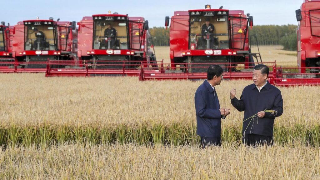 Κίνα: Ανάπτυξη 3,5% του αγροτικού τομέα εν μέσω κορύφωσης του κορωνοϊού - Media