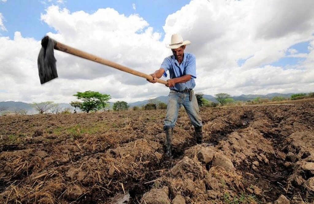 Κίνδυνος για τη φετινή σοδειά - Σημαντικές ελλείψεις εποχικών αλλοδαπών εργατών γης λόγω κορωνοϊού - Media