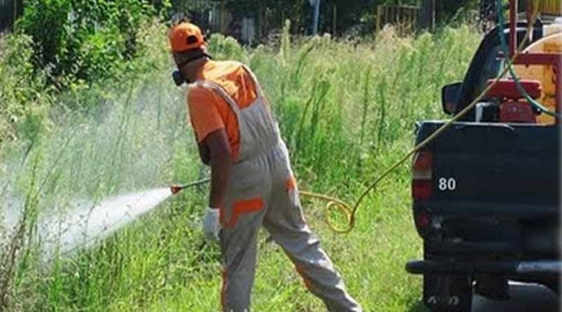 Περιφέρεια Αττικής: Ξεκίνησαν οι ψεκασμοί για κουνουποκτονίες - Πρόβλεψη για 10 επιπλέον ψεκασμούς ανά Περιφερειακή Ενότητα - Media