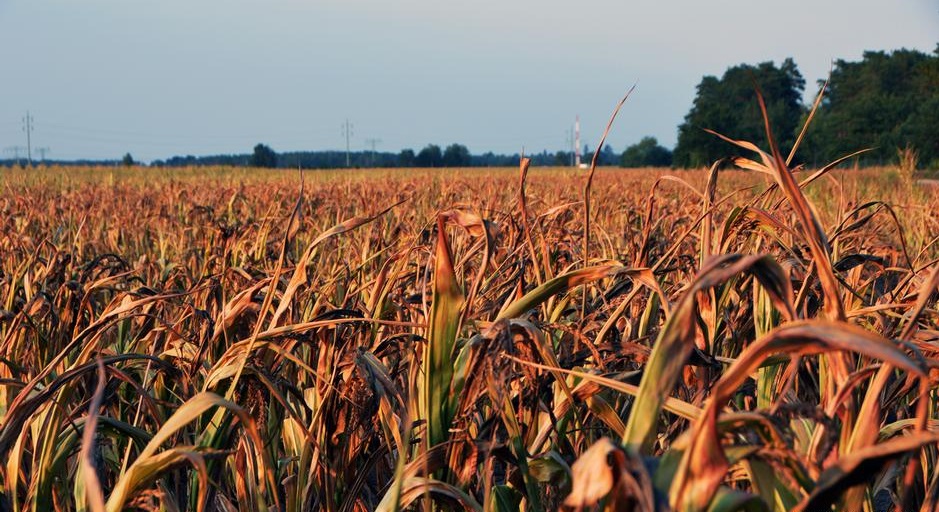 Προ των πυλών το καλοκαίρι με καύσωνα και κορωνοϊό  - Media