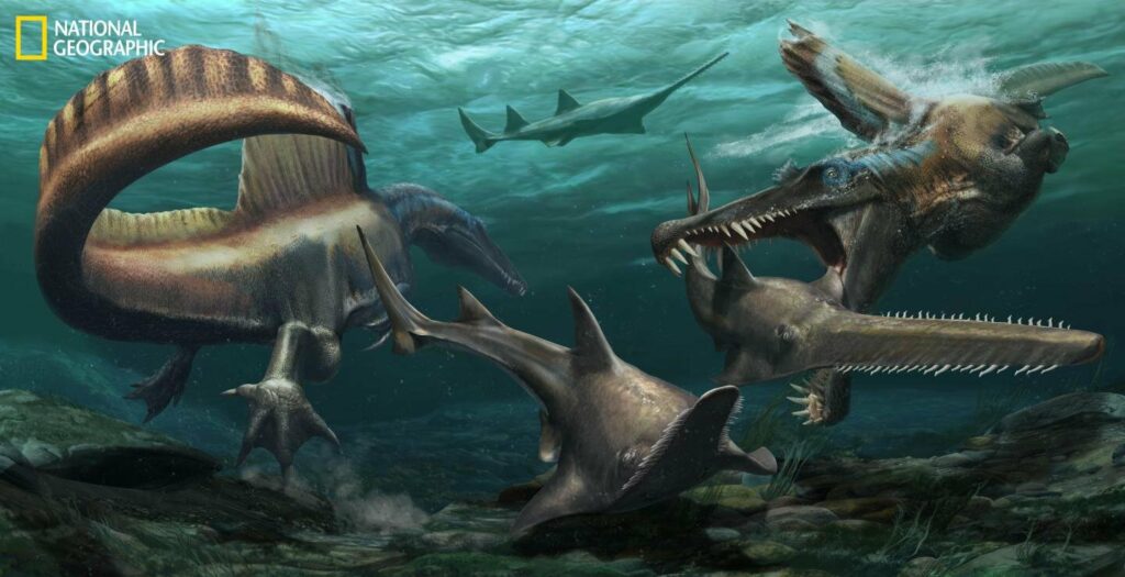 Ο τερατώδης 7μετρος Σπινόσαυρος ήταν ο πρώτος δεινόσαυρος που κολυμπούσε! (Εικόνες) - Media
