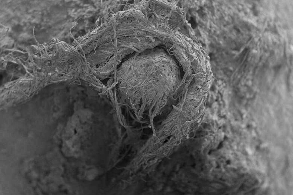 Ανακαλύφθηκε το αρχαιότερο μικροσκοπικό σκοινί ηλικίας έως 50.000 ετών - Το είχαν φτιάξει οι Νεάντερταλ - Media