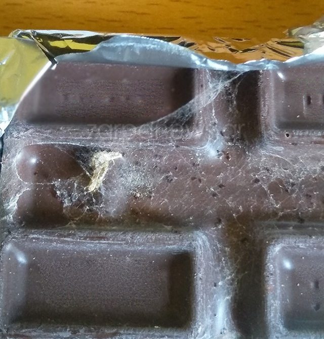 Xανιά: Αγόρασε σοκολάτα και βρήκε μέσα σκουλήκια και ιστό αράχνης (photos) - Media
