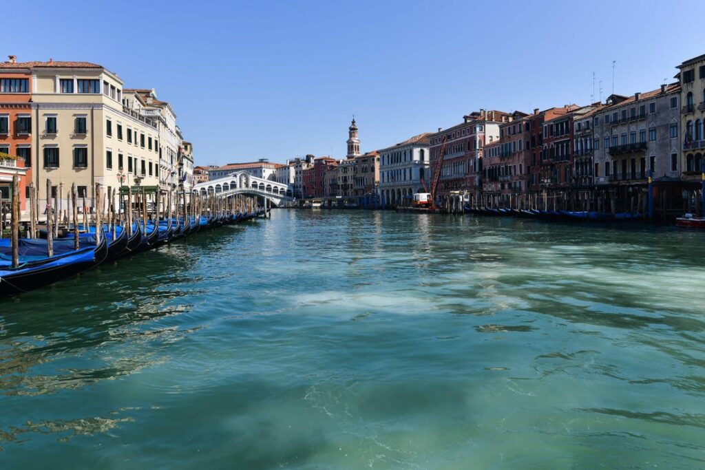 Απίστευτο: Τεράστιες μέδουσες στα κανάλια της Βενετίας (Video) - Media