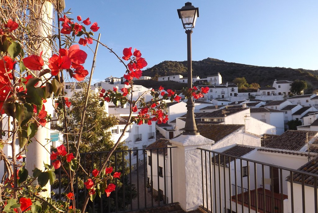 Κορωνοϊός: Αυτή η κωμόπολη δεν έχει ούτε ένα κρούσμα - Πώς τα κατάφερε - Media