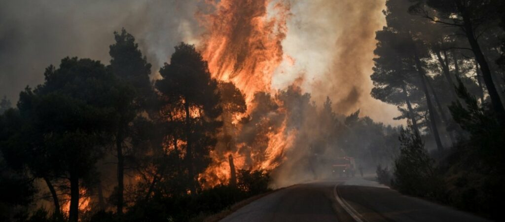 Πυρκαγιά σε δάσος στη δυτική Αχαΐα - Media
