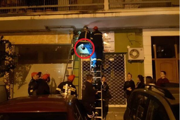 Θεσσαλονίκη: Kαταστηματάρχης έκλεισε γατάκι σε γυψοσανίδα – Επιχείρηση διάσωσης από την Πυροσβεστική (Video) - Media