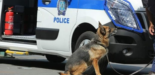 Εξαρθρώθηκαν δύο σπείρες που διακινούσαν ναρκωτικά στην Ηλεία και συνελήφθησαν εννέα άτομα - Media