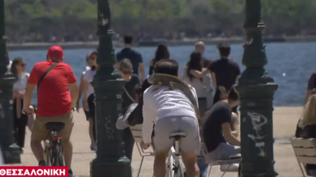 Τα… περίεργα της Πρωτομαγιάς: SMS για ψώνια long distance - Βόλτα με ιγκουάνα - Media