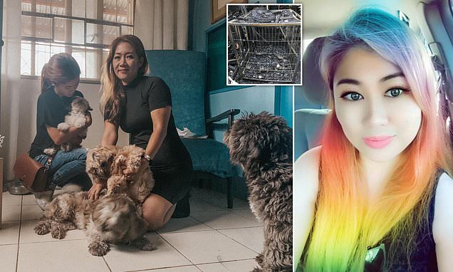 Θυσιάστηκε για να σώσει τα σκυλιά της – Όρμησε στις φλόγες σε φλεγόμενο σπίτι για να σώσει 6 κουταβάκια, αλλά πέθανε  - Media