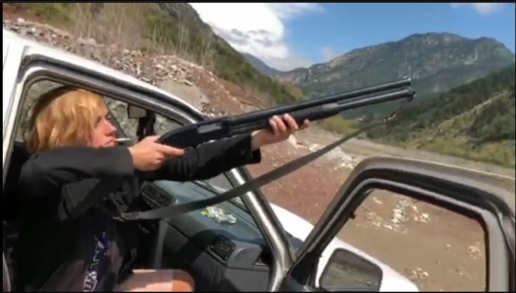 Πανελλήνια Φιλοζωική Ομοσπονδία κατά Κιτσοπούλου για το βίντεο με το ζαρκάδι: «Σφάχτηκε, γδάρθηκε, τεμαχίστηκε» - Media