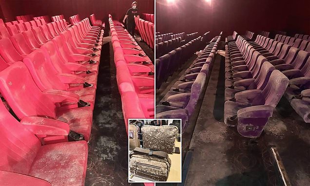 Κορωνοϊός – Καραντινα: Εγκατελειμμένοι κινηματογράφοι, γεμάτοι μούχλα και αράχνες στα καθίσματα  - Media