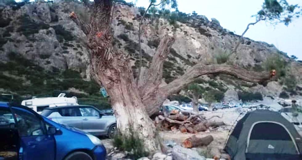 Σούγια: Κάτοικοι έκοψαν τα δέντρα για να διώξουν τους κατασκηνωτές (Photos) - Media