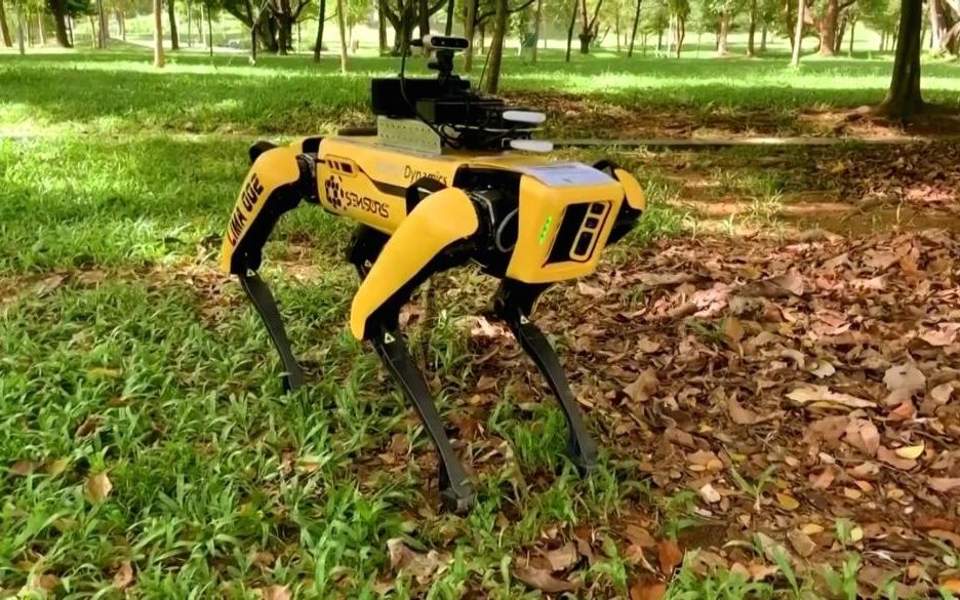 Σιγκαπούρη: Σκύλος-ρομπότ «περιπολεί» πάρκο και ελέγχει τις αποστάσεις ασφαλείας (Video) - Media