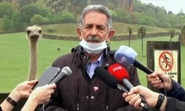 Ο πολιτικός έδινε συνέντευξη τύπου μπροστά στα μικρόφωνα και πίσω του η στρουθοκάμηλος τον… κορόιδευε (Video) - Media