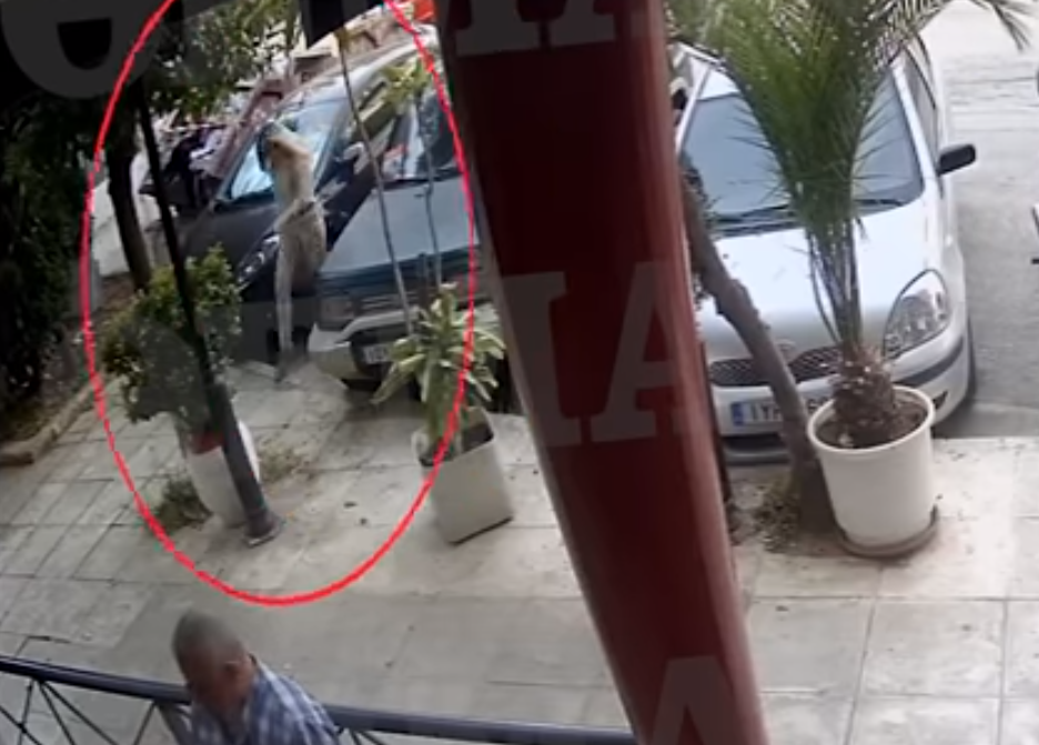 Επίθεση με βιτριόλι: Tα δύο σενάρια της ΕΛΑΣ και το μυστήριο με τις δύο μαυροφορεμένες γυναίκες (Videos) - Media