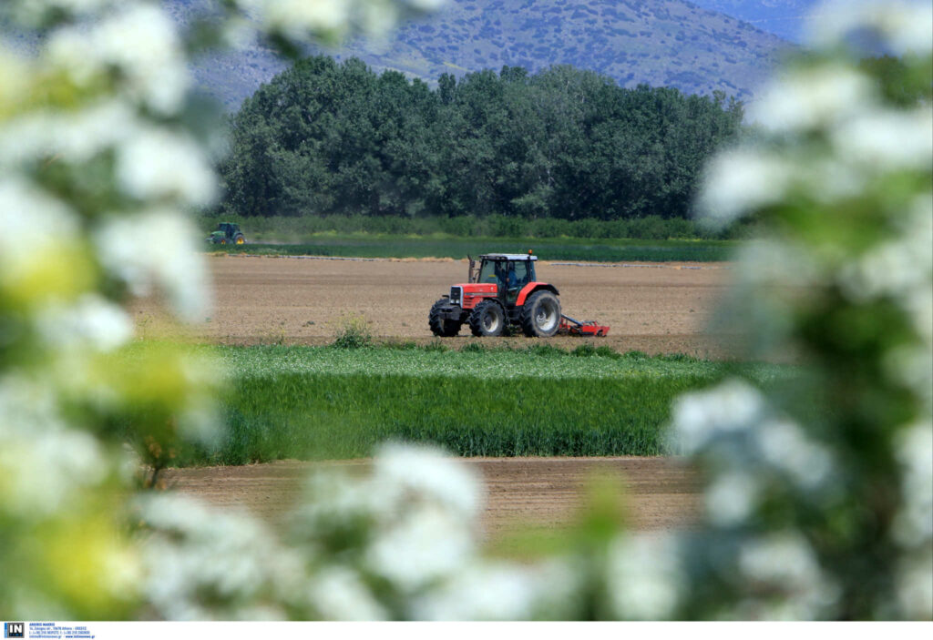Μετ’ εμποδίων η συγκομιδή της γεωργικής παραγωγής – Τα χωράφια… ξέμειναν από εργάτες   - Media
