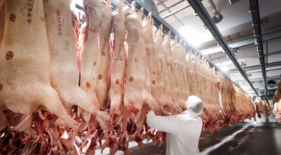 ILO: Θύματα μόνιμης εκμετάλλευσης οι εποχικοί εργάτες - Media