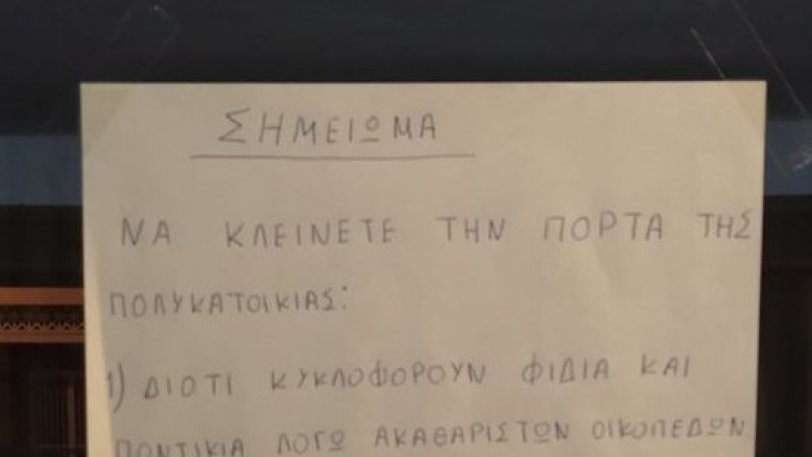 Νέα ανακοίνωση διαχειριστή σε πολυκατοικία: Κλείστε τις πόρτες για φίδια, ποντίκια αλλά και... λιοντάρια (Photo) - Media