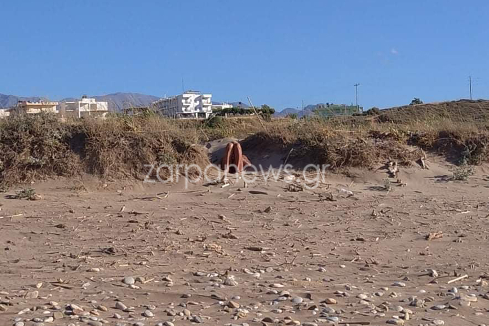 Χανιά: 60χρονος ξάπλωσε δίπλα σε δύο κοπέλες σε παραλία και άρχισε να αυνανίζεται (Video/Photo) - Media