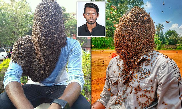 Αφήνει το πρόσωπο του να το καλύψουν 60.000 μέλισσες – Δεν τον απασχολούν τα δεκάδες τσιμπήματα (Video) - Media