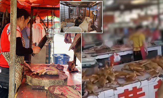 Στην Κίνα συνεχίζουν να σφάζουν σκυλιά και να τα πωλούν σε υπαίθριες αγορές, παρά την απαγόρευση του κράτους (Video) - Media