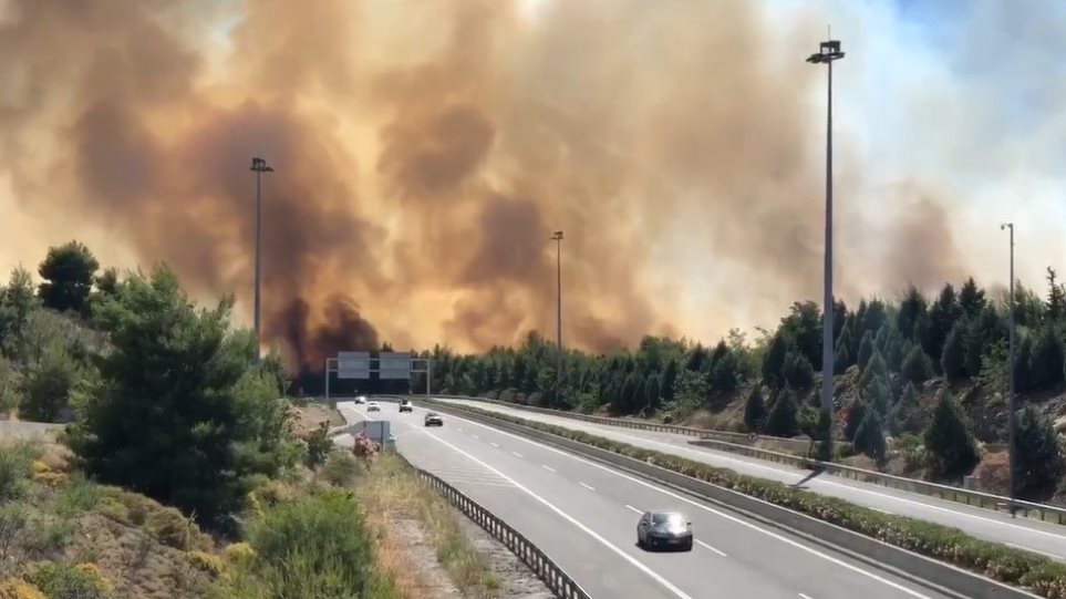 Μάχη με τη φωτιά στο Μαρτίνο - Οι φλόγες πέρασαν την εθνική οδό (Photos/Video) - Media