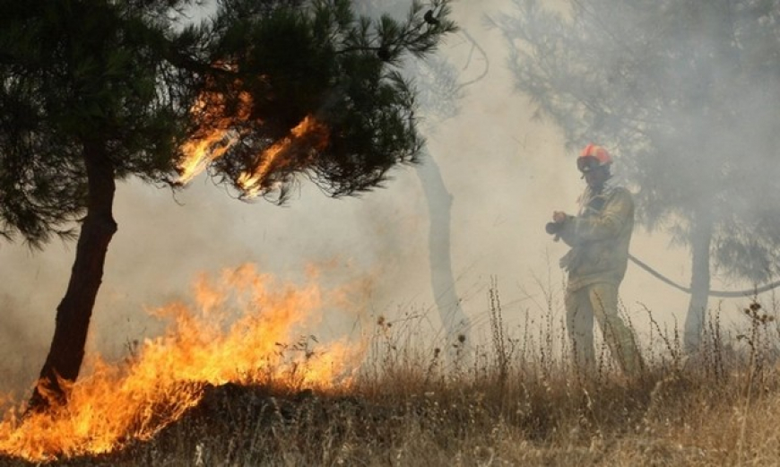 Έσβησε η φωτιά στο χωριό Σέκουλα της Ηλείας - Media