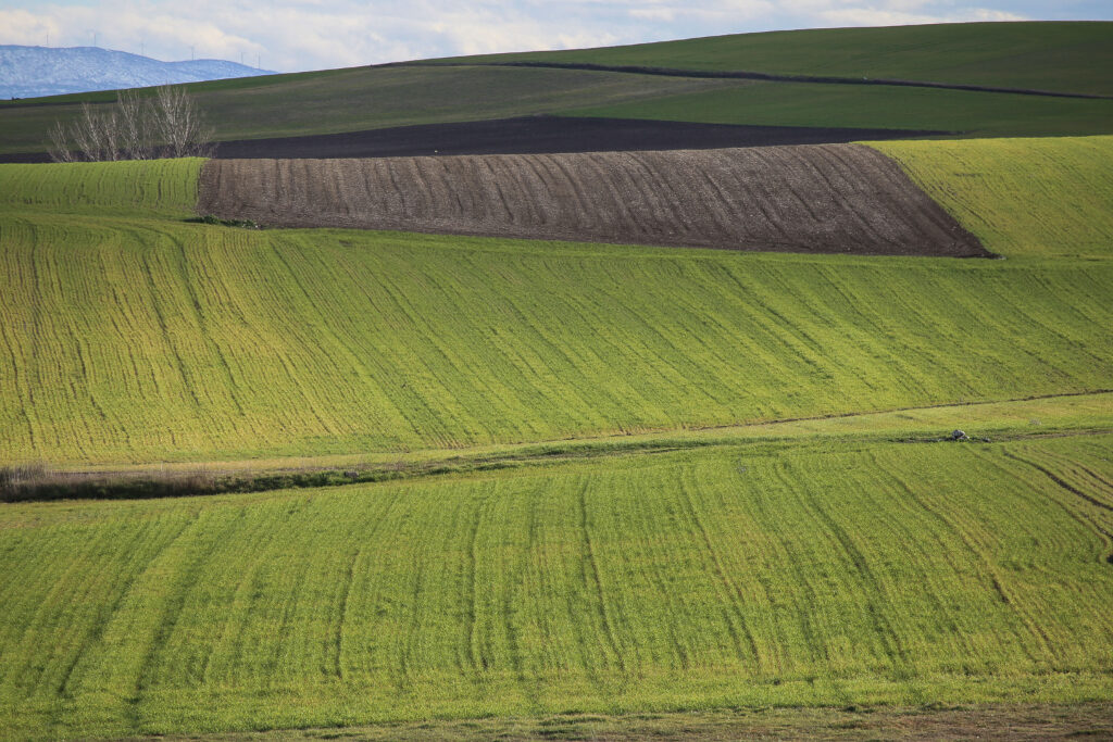 Απαλλαγή αγροτών από τέλος επιτηδεύματος για το φορολογικό έτος 2019 - Media