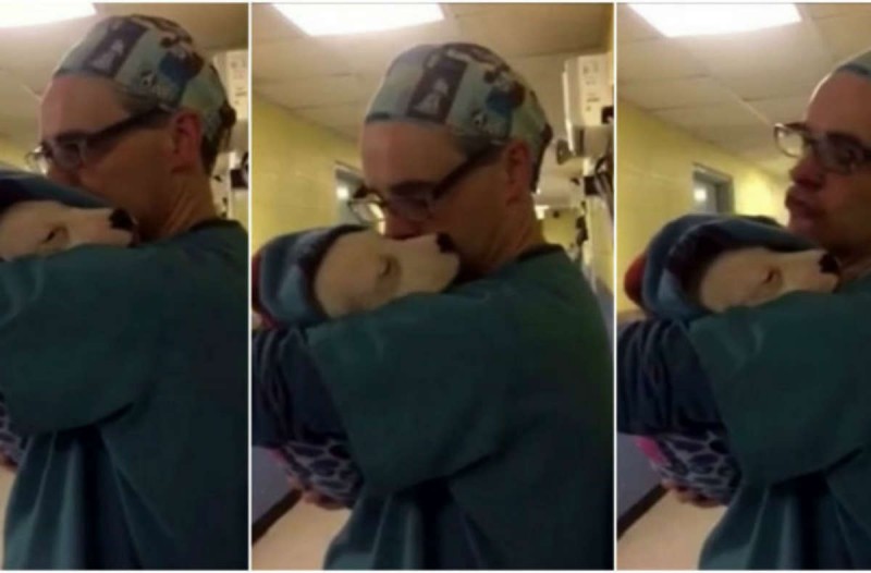 Ραγίζει καρδιές: Kουτάβι τρομάζει και κλαίει μετά το χειρουργείο, τότε ο κτηνίατρος το αγκαλιάζει σαν μωρό (Video) - Media