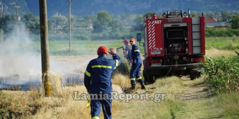 Συναγερμός στην Πυροσβεστική: Πυρκαγιά δίπλα σε σπίτια στη Λαμία - Media