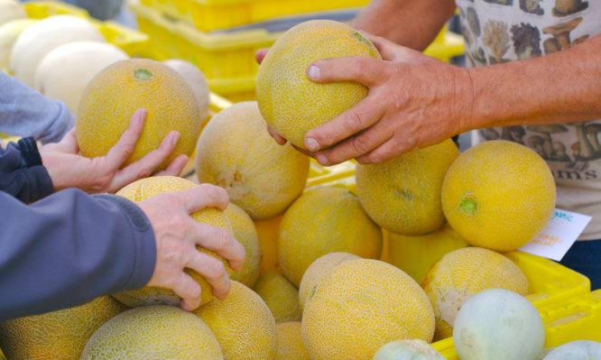 Λιστερίωση: Τα πρώτα συμπτώματα - Ποιες τροφές να προσέχετε - Media